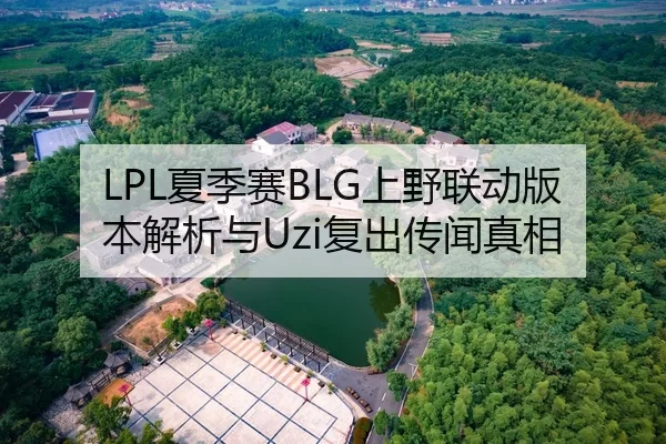 LPL夏季赛BLG上野联动版本解析与Uzi复出传闻真相