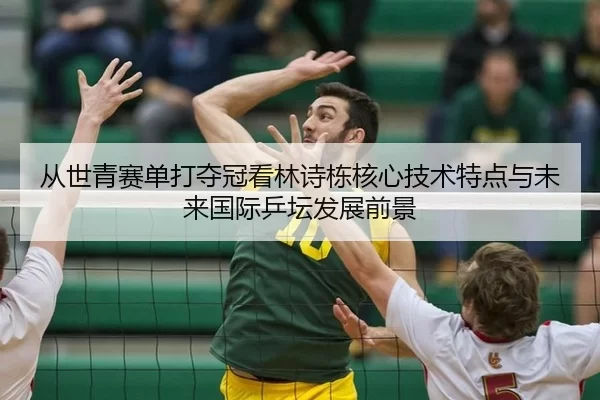 cong-shi-qing-sai-dan-da-duo-guan-kan-lin-shi-dong-he-xin-ji-shu-te-dian-yu-wei-lai-guo-ji-ping-tan-fa-zhan-qian-jing-2-365.jpg