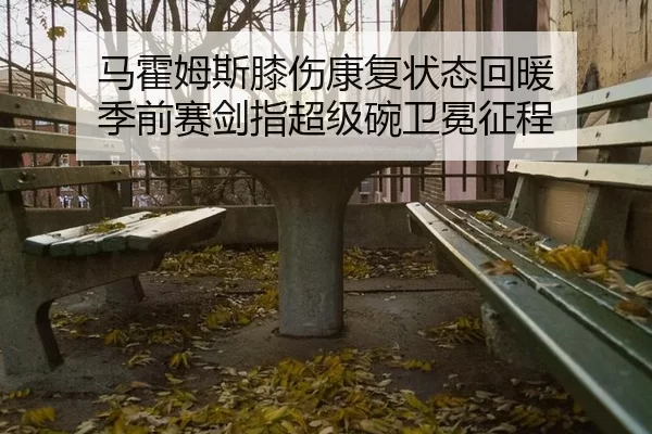 马霍姆斯膝伤康复状态回暖 季前赛剑指超级碗卫冕征程