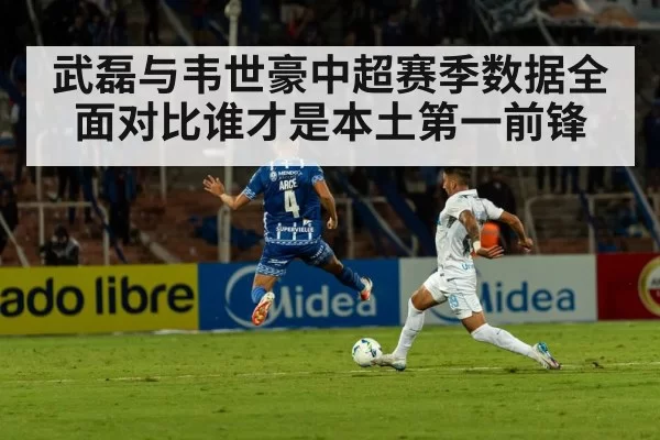 武磊与韦世豪中超赛季数据全面对比谁才是本土第一前锋