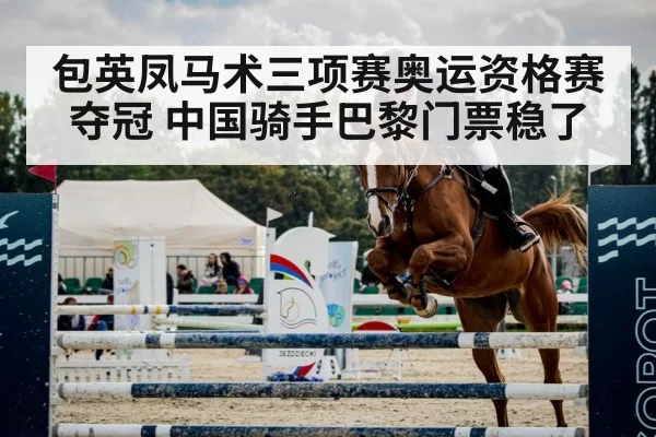 show jumping horse